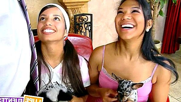 Порноколлекция с эякуляцией на женскую грудь