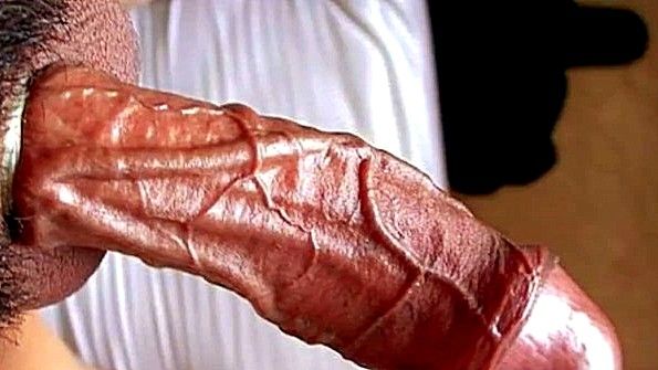 Три озорные девчонки сосут член парня