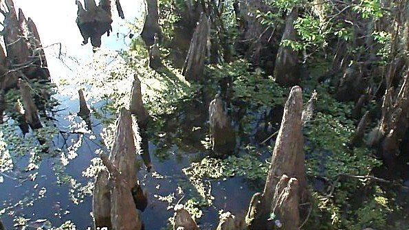 Сладкая сучка, сперма на лице, сперма, выстрел